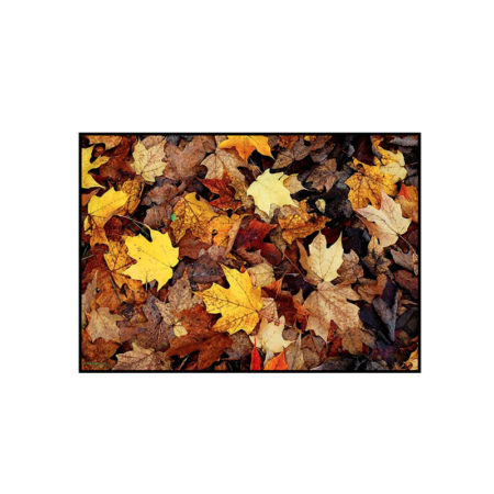 Dörrmatta Leaf